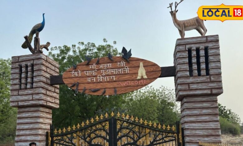 राजस्थान की वो जगह जहां पेड़ों के लिए दी गई थीं 363 कुर्बानियां, अब बदल रही तस्वीर, आकार ले रहा इको पार्क