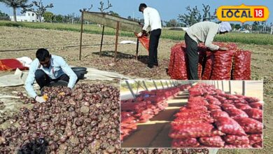Agriculture News: अब प्याज सड़ने का नहीं होगा नुकसान! सरकार की इस योजना से मिलेगा बड़ा फायदा