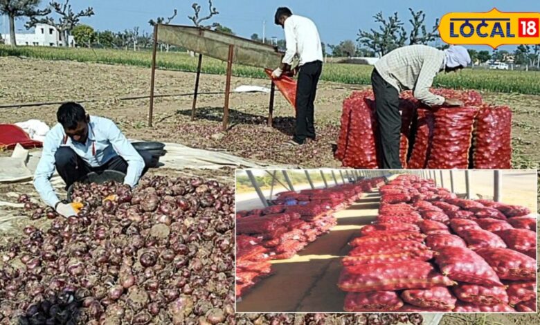 Agriculture News: अब प्याज सड़ने का नहीं होगा नुकसान! सरकार की इस योजना से मिलेगा बड़ा फायदा