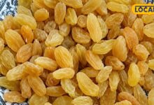Bhigi Kishmish ke Fayde: चमक उठेगा चेहरा और पेट रहेगा साफ, रोज सुबह खाली पेट भीगी किशमिश खाने के फायदे हैरान कर देंगे