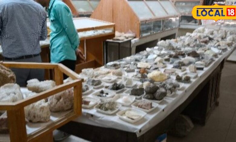 Bikaner News: 10 हजार दुर्लभ नमूनों का खजाना, डूंगर कॉलेज का जियोलॉजिकल म्यूजियम बना शोध का बड़ा केंद्र