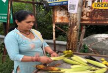 Business Idea: नौकरी की चिंता छोड़िए, सिर्फ 1 स्टॉल और सही लोकेशन से शुरू करें भुट्टे का बिजनेस, होगी अच्छी कमाई