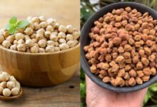काला चना या काबुली चना, किसे कौन-सा चना खाना चाहिए? जानिए फायदे