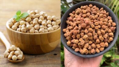 काला चना या काबुली चना, किसे कौन-सा चना खाना चाहिए? जानिए फायदे