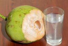 नारियल पानी सबके लिए नहीं फायदेमंद, जानें कोकोनट वॉटर पीने के नुकसान