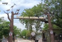 Keoladeo National Park | Bharatpur Bird Sanctuary | Monsoon in Rajasthan