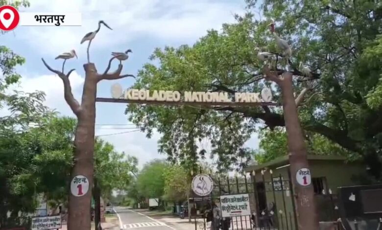 Keoladeo National Park | Bharatpur Bird Sanctuary | Monsoon in Rajasthan