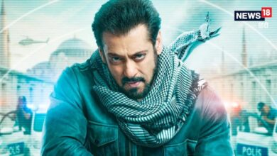 Salman Khan Upcoming Movies: 'मातृभूमि' ही नहीं, आने वाली हैं सलमान खान की ये 6 फिल्में, 1 में नयनतारा तो दूसरी में हीरोइन हैं तृषा कृष्णन