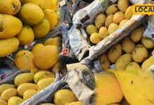 Tips for buying mangoes| how to identify a sweet mango| आम खरीदने के टिप्स| आम खरीदने का सही तरीका|