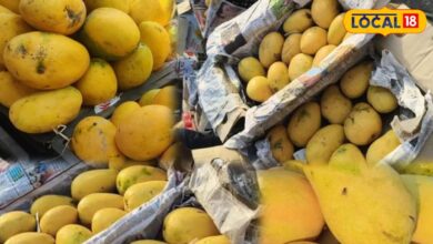 Tips for buying mangoes| how to identify a sweet mango| आम खरीदने के टिप्स| आम खरीदने का सही तरीका|