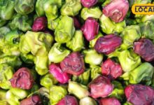 Water Chestnut Farming: तालाब नहीं है तो भी खेत में कर सकते हैं सिंघाड़े की खेती, कम लागत में कमाएं 3 लाख तक का मुनाफा