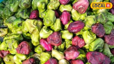 Water Chestnut Farming: तालाब नहीं है तो भी खेत में कर सकते हैं सिंघाड़े की खेती, कम लागत में कमाएं 3 लाख तक का मुनाफा
