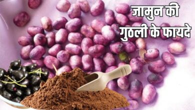 जामुन खाकर न करें गुठली को फेंकने की गलती, इन 5 बीमारियों में मददगार