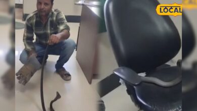 बारिश के बाद अस्पताल तक पहुंच गए सांप! डॉक्टर की कुर्सी पर बैठे नागराज ने उड़ाए होश