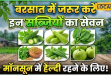 बारिश के मौसम में न करें खानपान की गलती! ये सब्जियां बनेंगी सेहत की प्राकृतिक ढाल