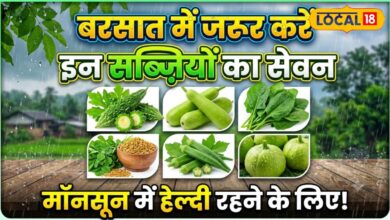 बारिश के मौसम में न करें खानपान की गलती! ये सब्जियां बनेंगी सेहत की प्राकृतिक ढाल