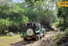 माउंट आबू घूमने जा रहे हैं? इस जंगल सफारी के बिना आपकी ट्रिप रहेगी अधूरी, किस्मत अच्छी हुई तो दिख जाएगा तेंदुआ!