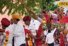 यहां बछड़े ने रचाई शादी, साथ में पीपल और बरगद का भी हुआ विवाह, जानिए वजह