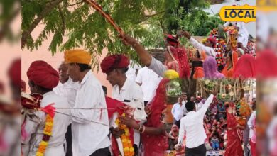 यहां बछड़े ने रचाई शादी, साथ में पीपल और बरगद का भी हुआ विवाह, जानिए वजह