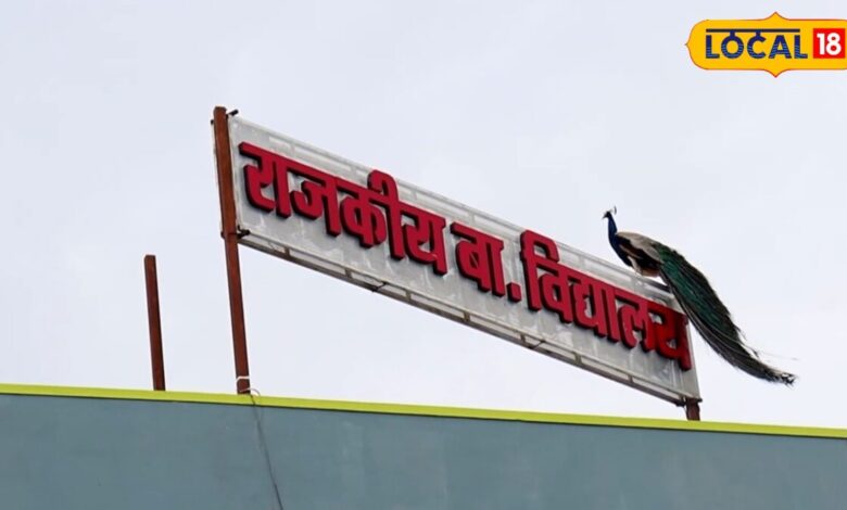 सरकारी स्कूल की ऐसी तस्वीर नहीं देखी होगी, ओपन जिम से स्मार्ट कैंपस तक, बेटियों को मिल रहीं लग्जरी सुविधाएं