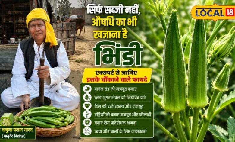 सिर्फ सब्जी नहीं, औषधि का भी खजाना है भिंडी, एक्सपर्ट से जानिए इसके चौंकाने वाले फायदे