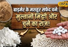 स्वाद ऐसा कि... एक बार चखा तो भूल नहीं पाएंगे, मुल्तानी मिट्टी और सफेद चूना में पककर तैयार होते हैं सफेद चने