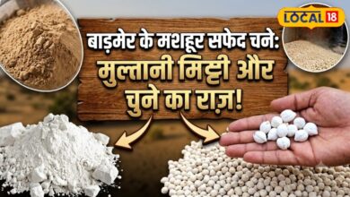 स्वाद ऐसा कि... एक बार चखा तो भूल नहीं पाएंगे, मुल्तानी मिट्टी और सफेद चूना में पककर तैयार होते हैं सफेद चने