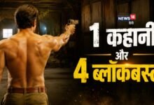 1 ही कहानी पर मेकर्स ने बना डाली 4 फिल्म, चारों निकली ब्लॉकबस्टर, एक ने 100 दिनों तक किया था सिनेमाघरों में कब्जा