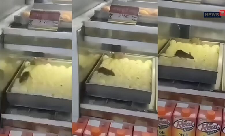 perfGogleBtn