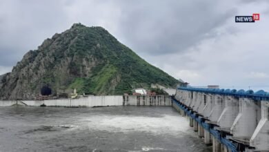 बीसलपुर बांध में आया 45 सेमी पानी, जयपुर में 1 साल की पेयजल चिंता दूर