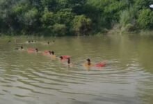 for_you