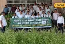 Agriculture News I गाजर घास बनी मुसीबत, फसल और जैव विविधता पर मंडरा रहा खतरा