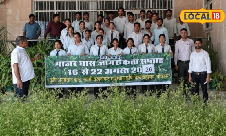 Agriculture News I गाजर घास बनी मुसीबत, फसल और जैव विविधता पर मंडरा रहा खतरा