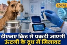 Bikaner News: ऊंटनी के दूध में गाय-भैंस की मिलावट अब पकड़ेगी DNA किट, राजस्थान वेटरनरी यूनिवर्सिटी को पेटेंट