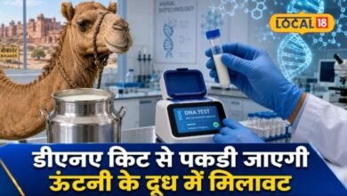 Bikaner News: ऊंटनी के दूध में गाय-भैंस की मिलावट अब पकड़ेगी DNA किट, राजस्थान वेटरनरी यूनिवर्सिटी को पेटेंट
