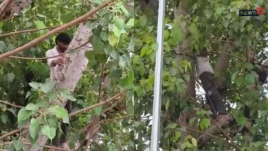 Alwar: डॉक्टर के थप्पड़ से आहत युवक पेड़ पर चढ़ा, फंदा लगाकर बैठा; मचा हड़कंप