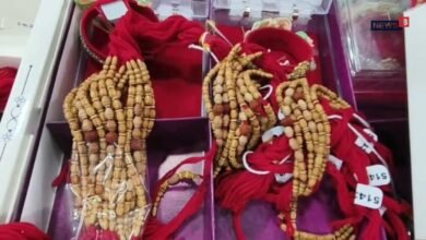 चित्तौड़गढ़ के बाजारों में छाई राखियों की नई वैराइटी