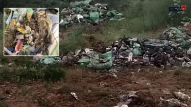 अलवर के बगड़ राजपूत में जोहड़ के पास फेंका सड़ा कचरा, बदबू से ग्रामीण परेशान