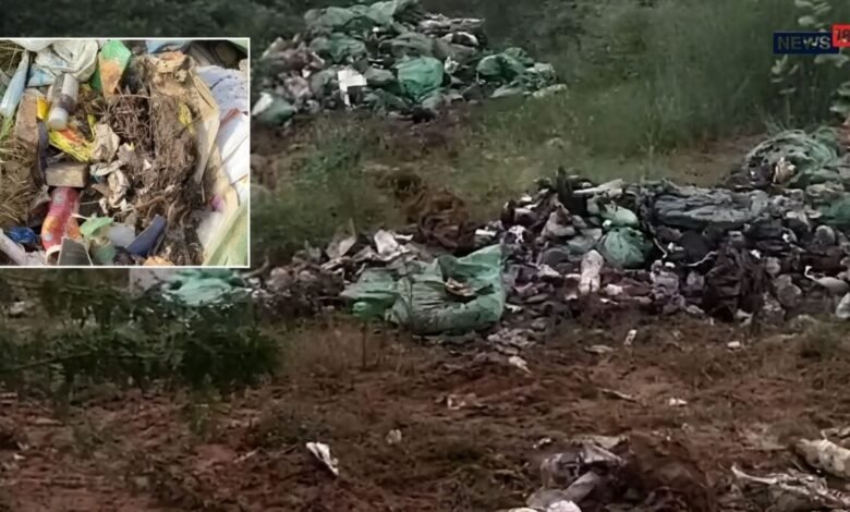 अलवर के बगड़ राजपूत में जोहड़ के पास फेंका सड़ा कचरा, बदबू से ग्रामीण परेशान
