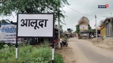 दौसा की ऐतिहासिक बावड़ी पर मंडरा रहा खतरा, जीर्णोद्धार की उठी मांग