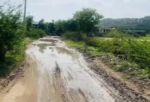 Ajmer News I जलभराव ने रोकी राह, नाड़ी गांव में सड़क बनी मुसीबत