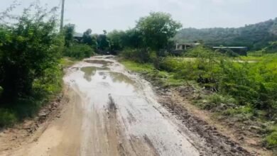 Ajmer News I जलभराव ने रोकी राह, नाड़ी गांव में सड़क बनी मुसीबत