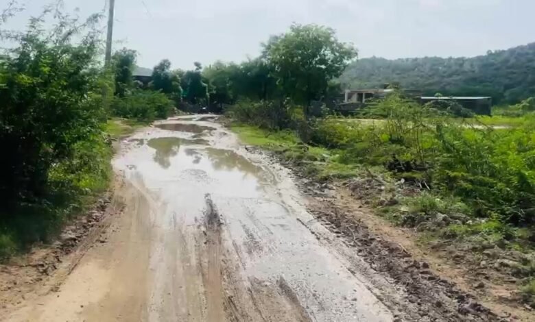 Ajmer News I जलभराव ने रोकी राह, नाड़ी गांव में सड़क बनी मुसीबत