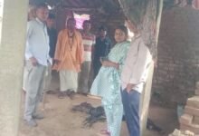 Jaipur News: दो साल से जारी पैंथर की आवाजाही, अब घर के बाड़े में घुसकर किया पशु का शिकार
