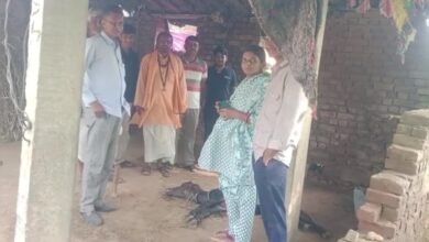 Jaipur News: दो साल से जारी पैंथर की आवाजाही, अब घर के बाड़े में घुसकर किया पशु का शिकार
