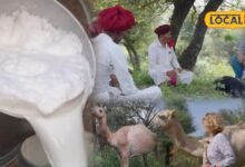 1990 में ऊंटों पर रिसर्च करने भारत आईं, फिर राजस्थान ने ऐसा बांधा कि 30 साल से यहीं हैं जर्मनी की इल्जे रोलेफसन