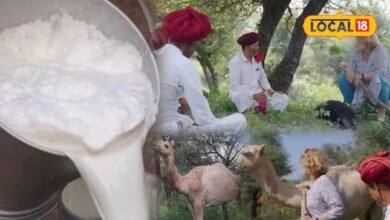 1990 में ऊंटों पर रिसर्च करने भारत आईं, फिर राजस्थान ने ऐसा बांधा कि 30 साल से यहीं हैं जर्मनी की इल्जे रोलेफसन