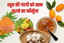 5 चीजें खून में जमा हो रहे रोगाणु को खींच कर फ्लश आउट कर देगी, कई बीमारियों का होगा अंत