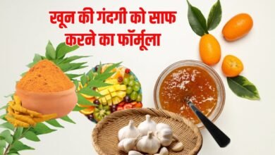 5 चीजें खून में जमा हो रहे रोगाणु को खींच कर फ्लश आउट कर देगी, कई बीमारियों का होगा अंत