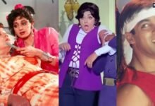 50 साल में बनी 5 ब्लॉकबस्टर फिल्में, जिनका कॉन्सैप्ट था सेम, हीरो-हीरोइन ने निभाए डबल रोल, 1 का सीक्वल भी बना
